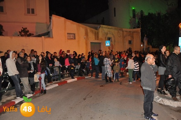 tree light 1208 (37).JPG